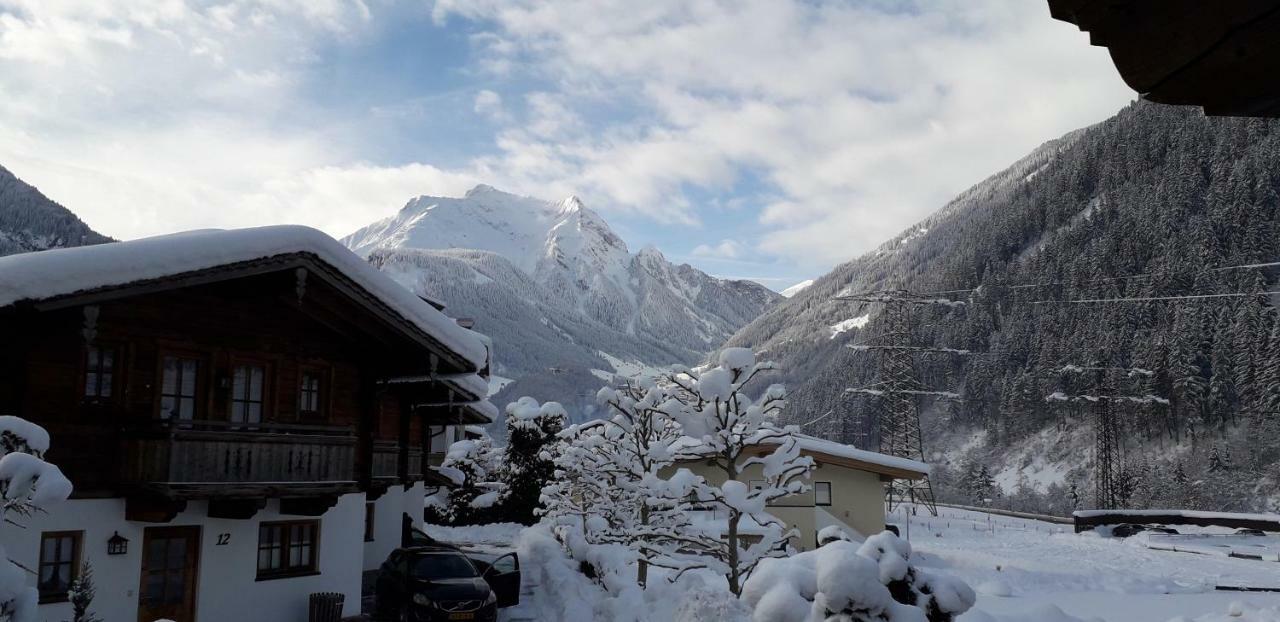 Landhaus Zum Griena Mayrhofen Ngoại thất bức ảnh